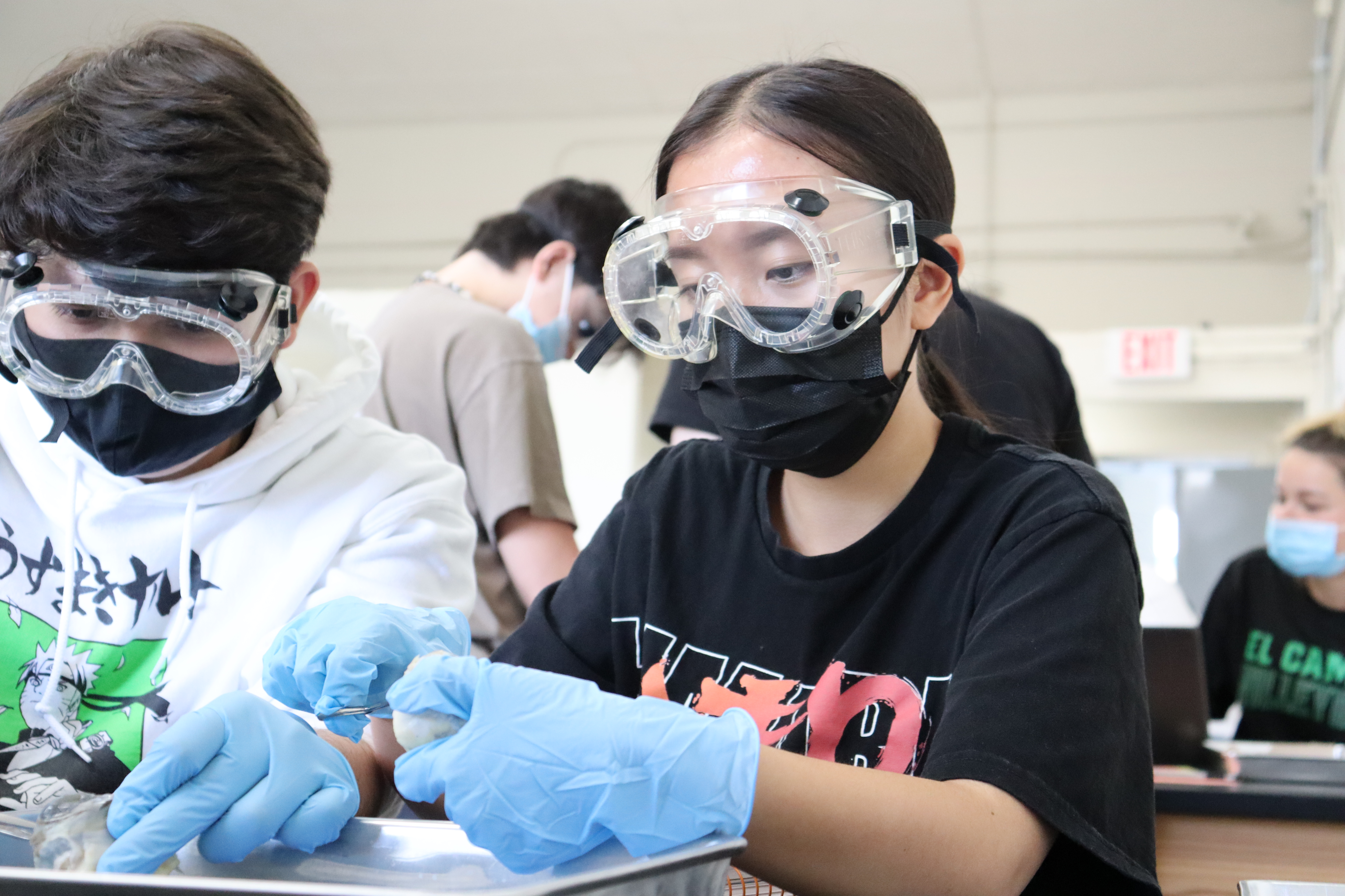 New medical careers class gives EC students a look into the medical field